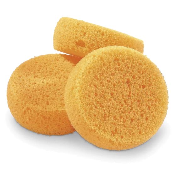 Éponges Royal Brush® - Paquet de 12