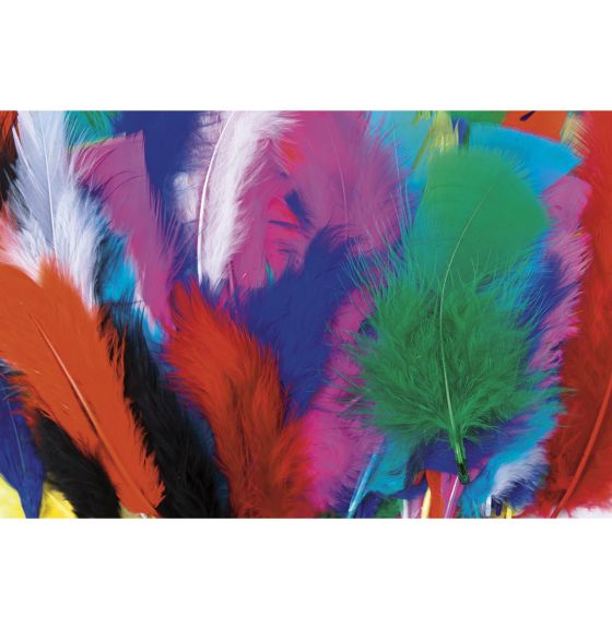 Plumes duveteuses de grande taille aux couleurs assorties, 10 cm à 16 cm