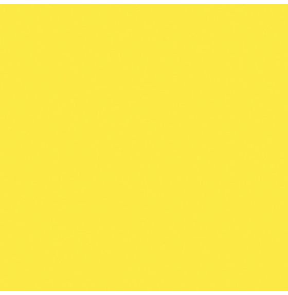 Economy School Construction Paper, 55 lbs - 50 Sheets - 22.9 cm x 30.5 cm (9" x 12") - Yellow