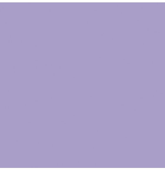 2500 feuilles de papier construction Country School™ Nasco 55 lb - 23 cm x 30 cm (9" x 12") - Lilas