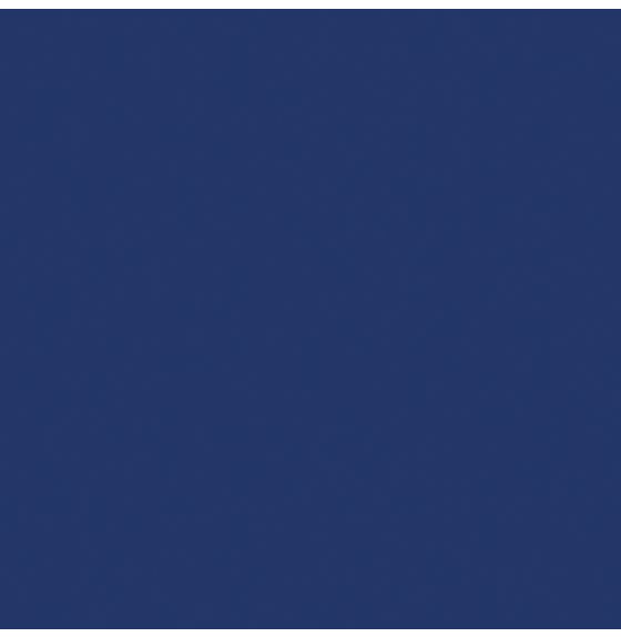 Pacon® Bristol Board - 25 Sheets, 4 Ply - 22" x 28" (56 cm x 71 cm) - Dark Blue