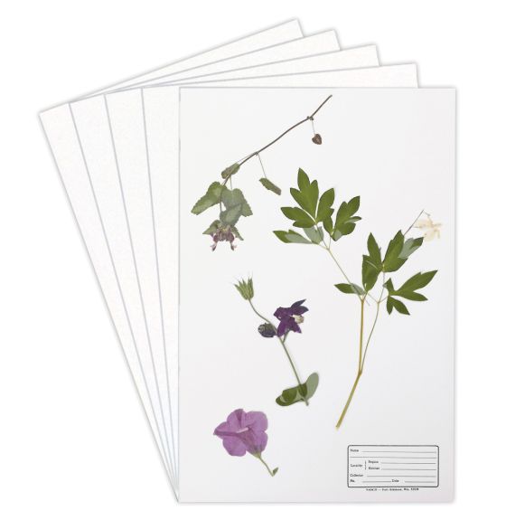Fiches de montage de plantes
