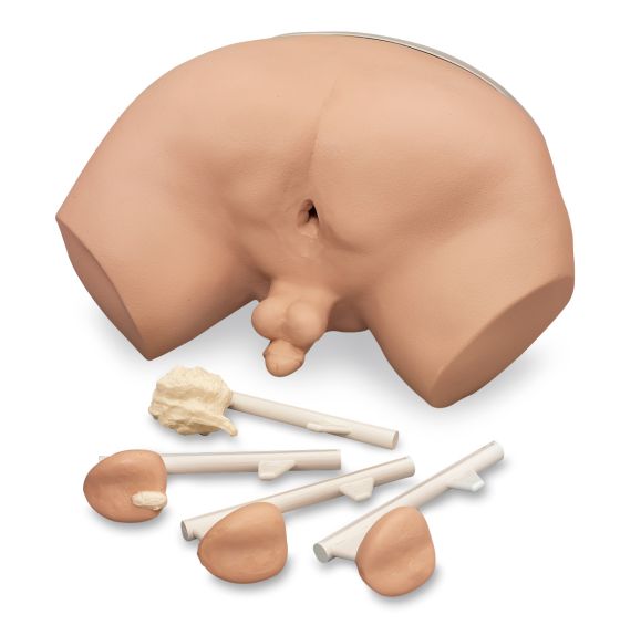 Prostate Examination Simulator