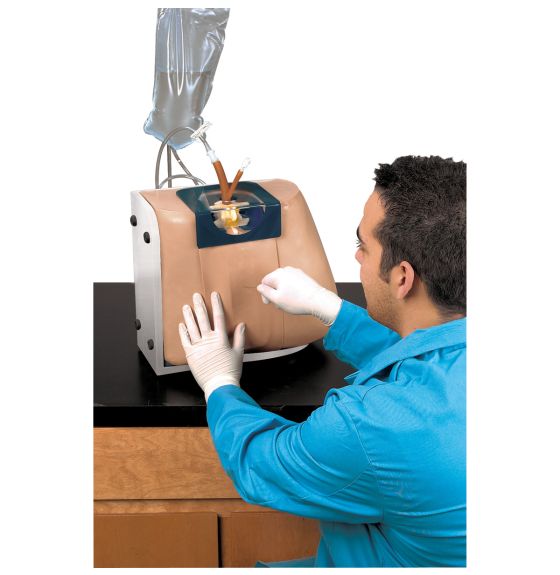 Simulateur Life/form d'injection spinale