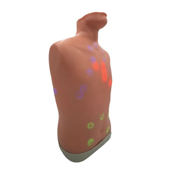 Auscultation Trainer 2.0 - Without iPad