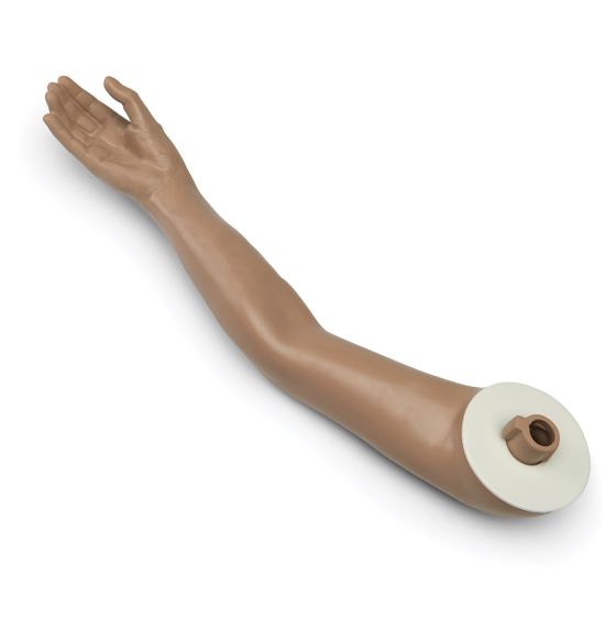 Mannequin CPARLENE® Life/form® - Bras droit de rechange