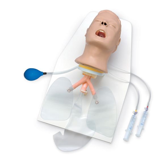 Advanced Airway Larry Trainer Head with Stand