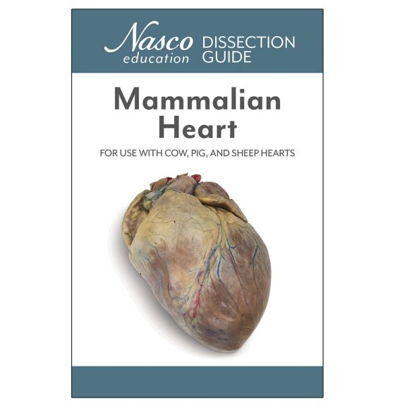 NASCO's Dissection Guide for the Mammalian Heart