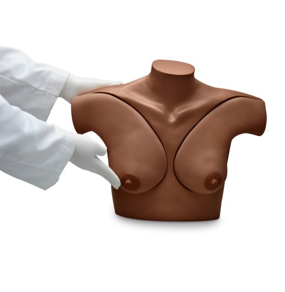 Mannequin Gaumard® pour la formation aux techniques d'examen des seins , avec CD - Peau foncée