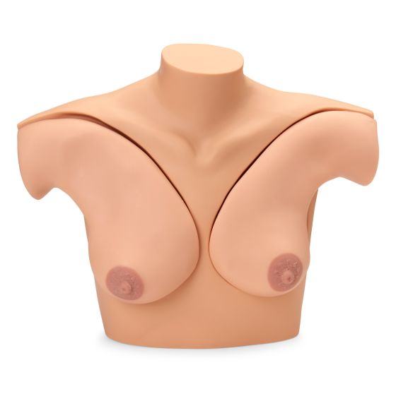 Mannequin Gaumard® pour la formation aux techniques d'examen des seins , avec CD - Peau claire