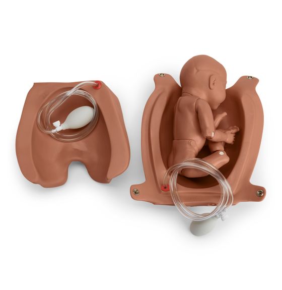 Articulating Newborn for Leopold's Maneuvers and Birthing Exercises - Medium
