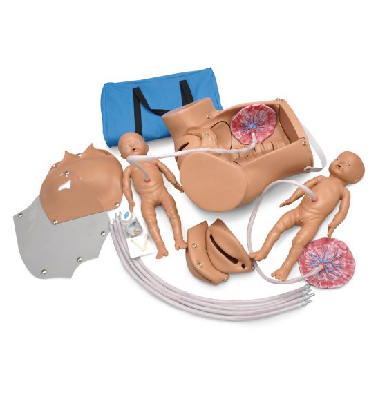 Gaumard® Total Childbirth Education Station - Light