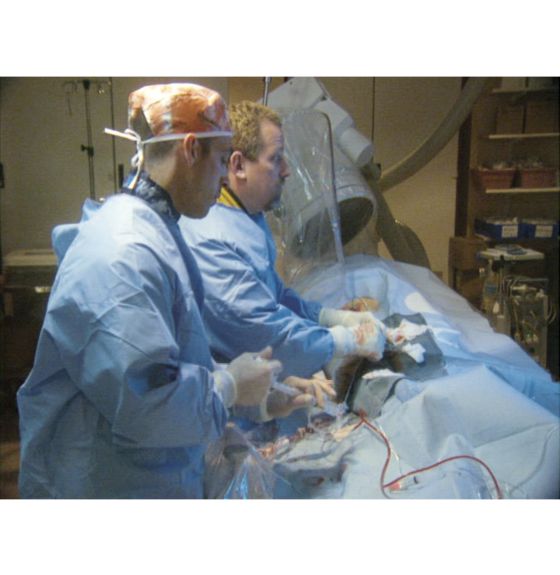 Heart Disease Treatment Set DVDs