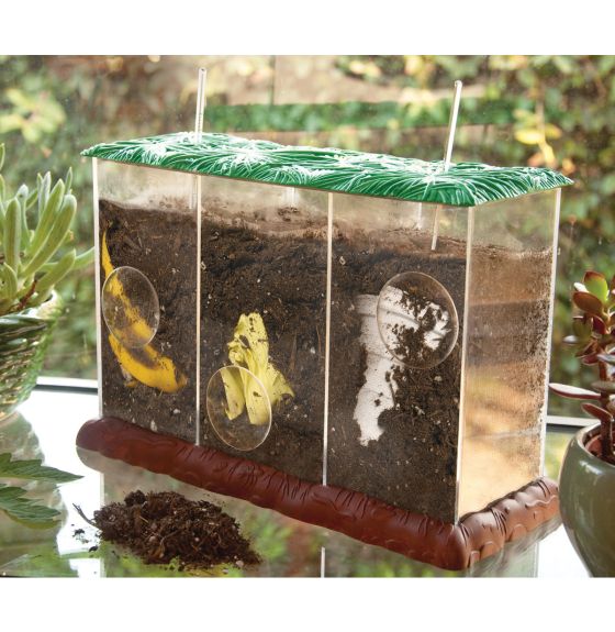 See-Through Compost Container