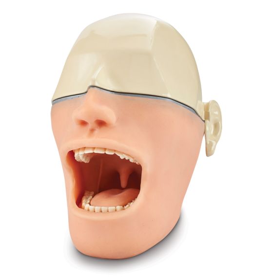 Mannequin d'anesthésie bucco-dentaire - Sans capteurs sonores ou lumineux