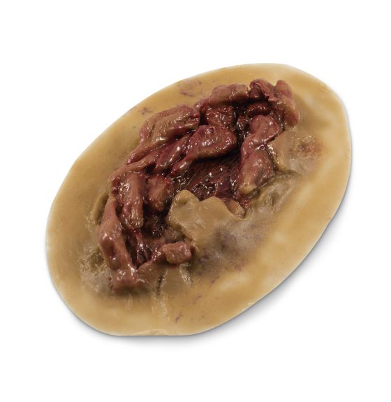 MST&trade; Non-Dynamic (Non-Bleeding) Large Laceration Moulage - Medium Color - Set of 4