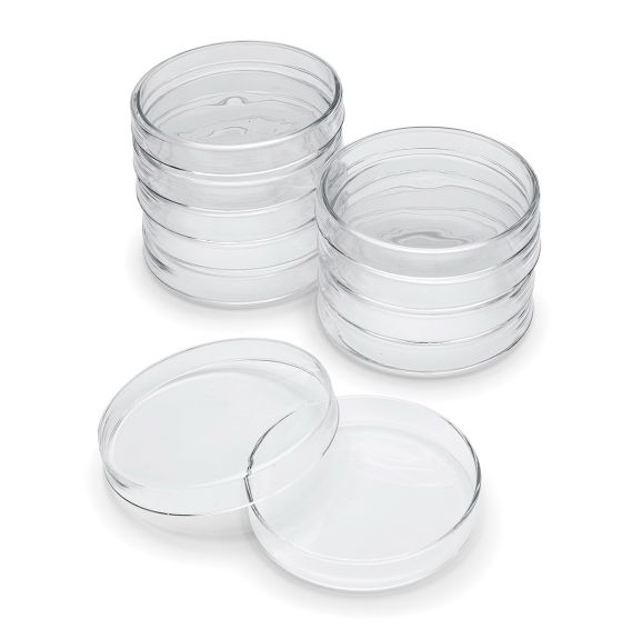 Glass Petri Dishes with Covers - 100 mm - Pack of 10