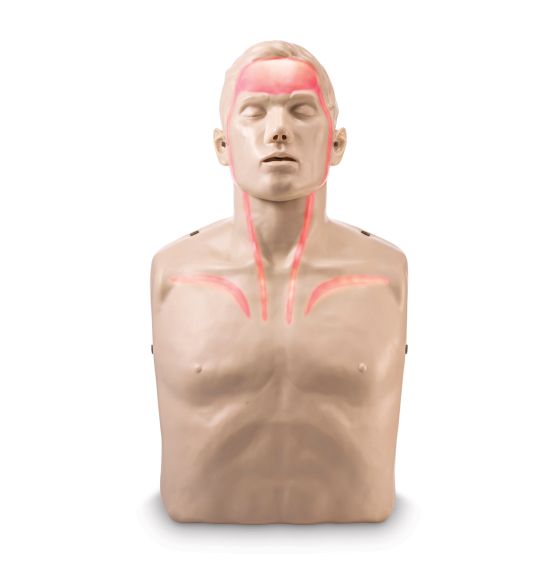 Brayden CPR Training Manikin with Red Indicator Lights