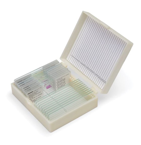 Student Grade Teaching Biology Slide Set #2 - 10 Slides