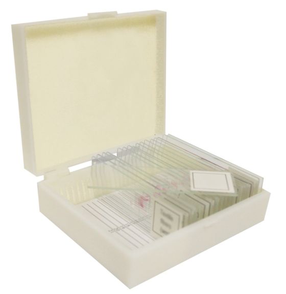 Elementary Microscope Slide Set - Student Grade