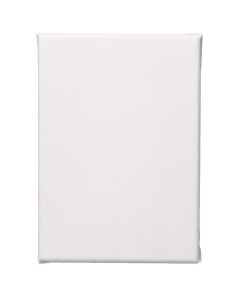 Spectrum Pre-Stretched Canvas - 22.9 cm x 30.5 cm (9" x 12")