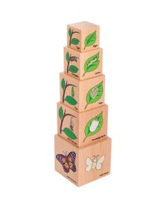 The Freckled Frog - Blocs en bois représentant le cycle de vie
