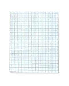 Economy Graph Paper - 8 1/2" x 11