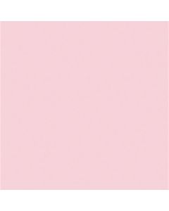 Papier construction économique pour l'école (55 lb), 50 feuilles de 30,5 cm x 46 cm - Rose