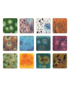 12 pots de glaçure cristalline Mayco® Jungle Gems™, 473 ml (16 oz) - Assortiment #2