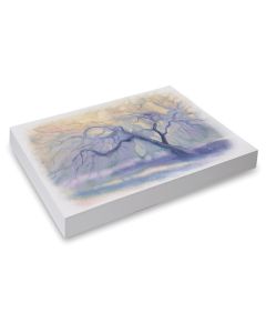 Paquet de 500 feuilles de papier aquarelle Canson® Foundation pour l'élève (90 lb) - 23 cm x 30,5 cm (9" x 12")