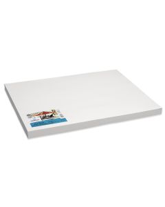 100 feuilles de papier pour techniques mixtes Canson®, série Artist (138 lb) - 46 cm x 61 cm (18" x 24")