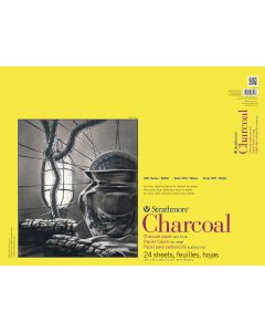 Strathmore&reg; 300 Series Charcoal Spiral-bound Pad - 18" x 24" - 64 lb.